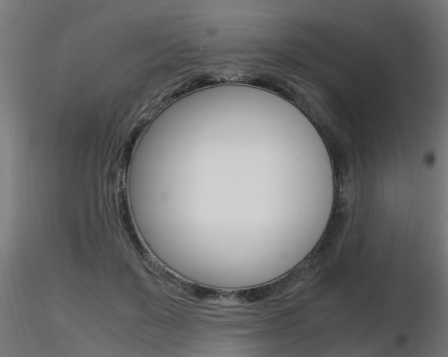 X0000116460503200912090930