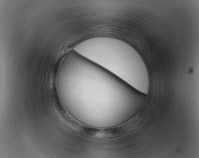 X0000116460504200912090930