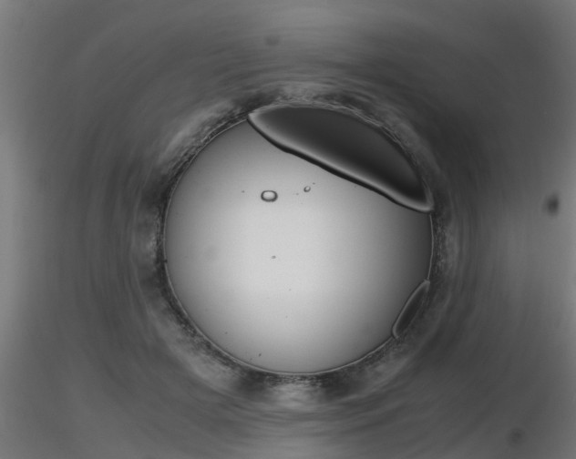 X0000116460505200912090930