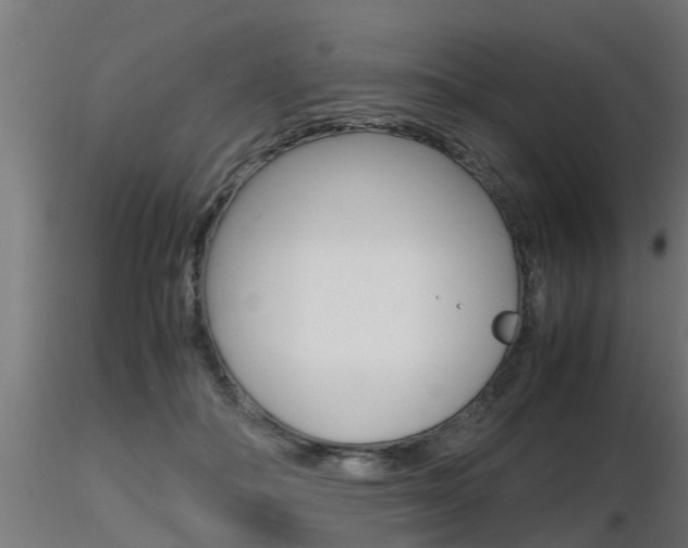 X0000116460506200912090930