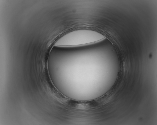 X0000116460508200912090930