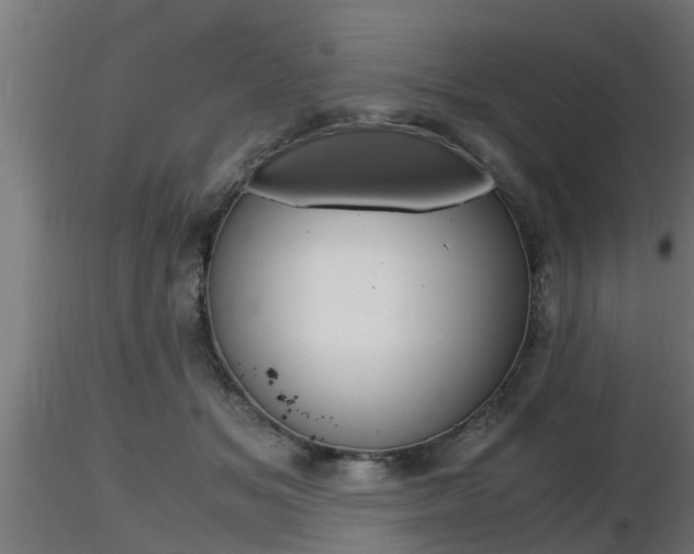 X0000116460509200912090930