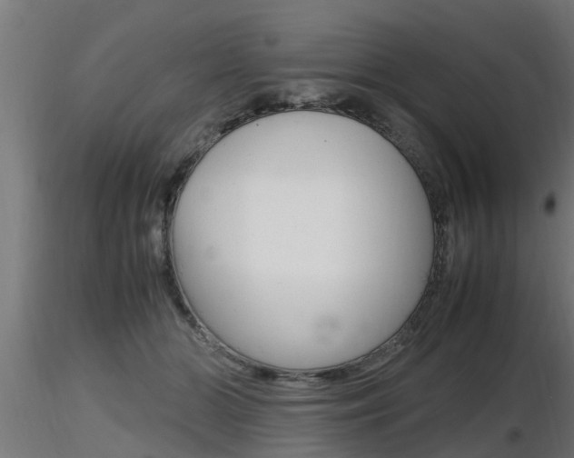 X0000116460510200912090930