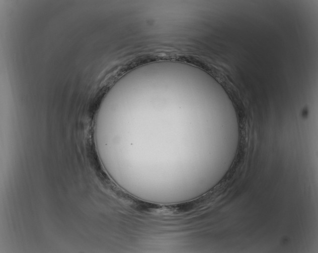 X0000116460511200912090930