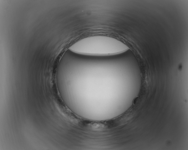 X0000116460512200912090930