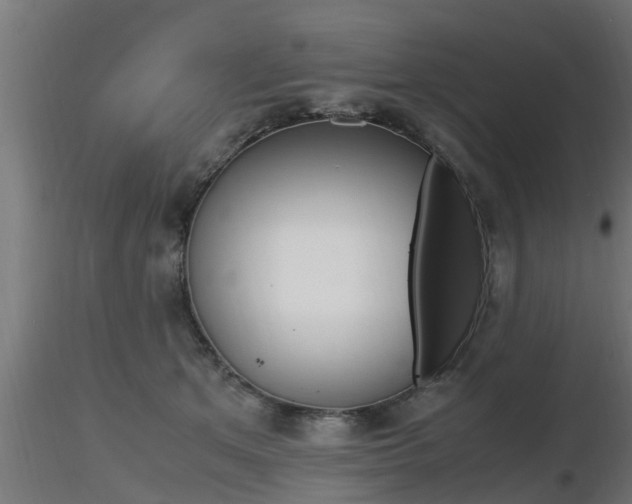 X0000116460513200912090930