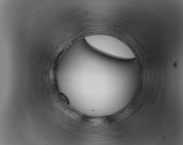 X0000116460516200912090930