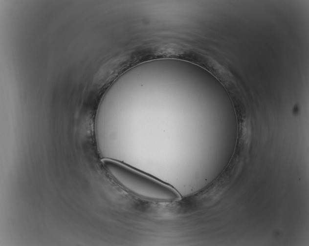 X0000116460517200912090930