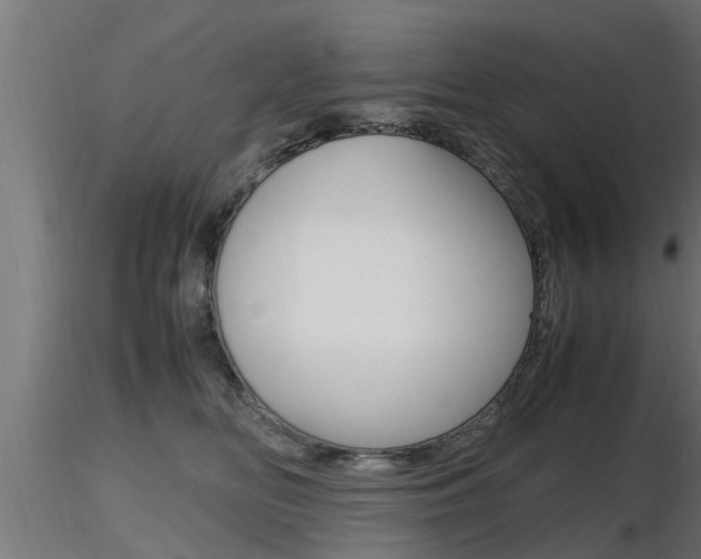 X0000116460518200912090930
