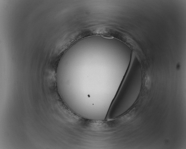 X0000116460521200912090930