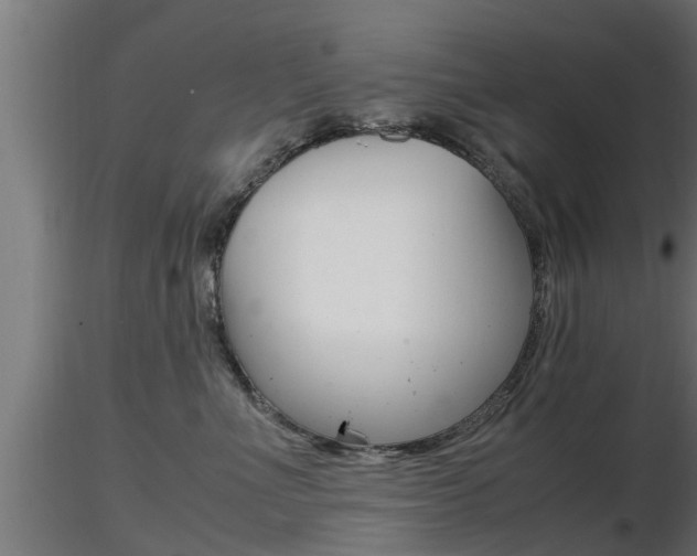X0000116460523200912090930