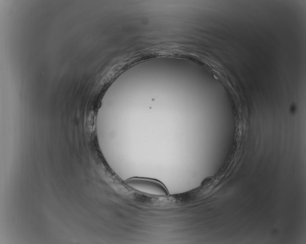 X0000116460525200912090930