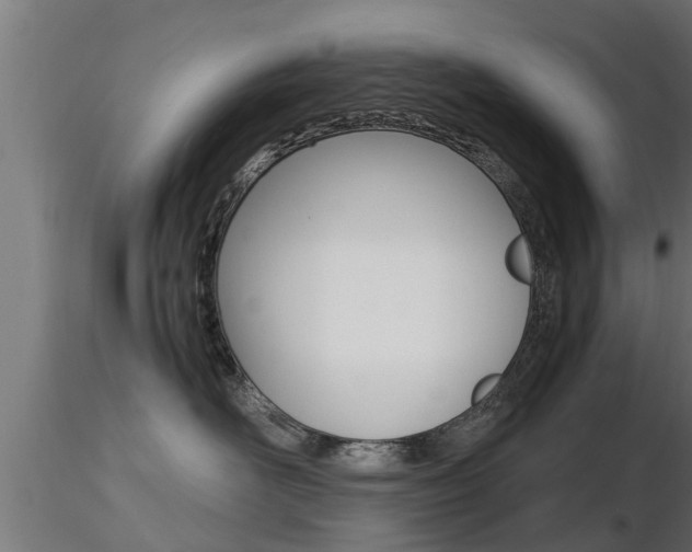 X0000116460526200912090930