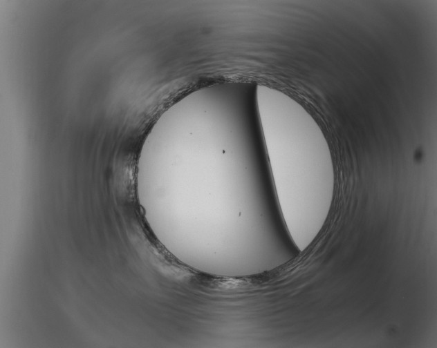 X0000116460527200912090930