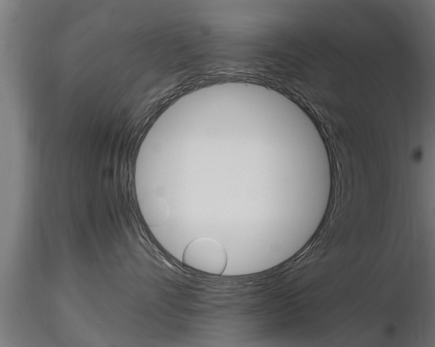 X0000116460528200912090930