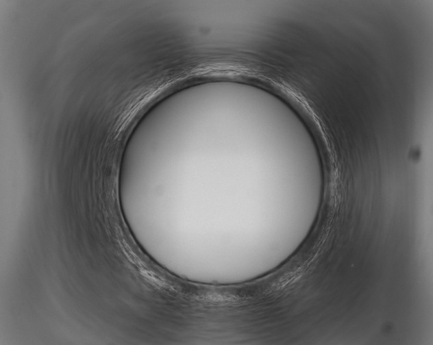 X0000116460529200912090929