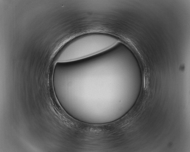X0000116460531200912090929