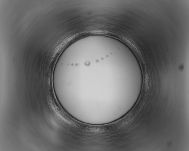X0000116460533200912090929