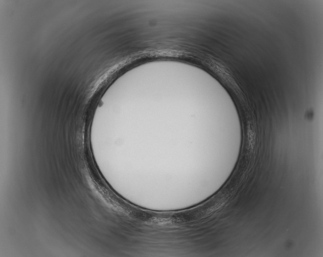 X0000116460534200912090929