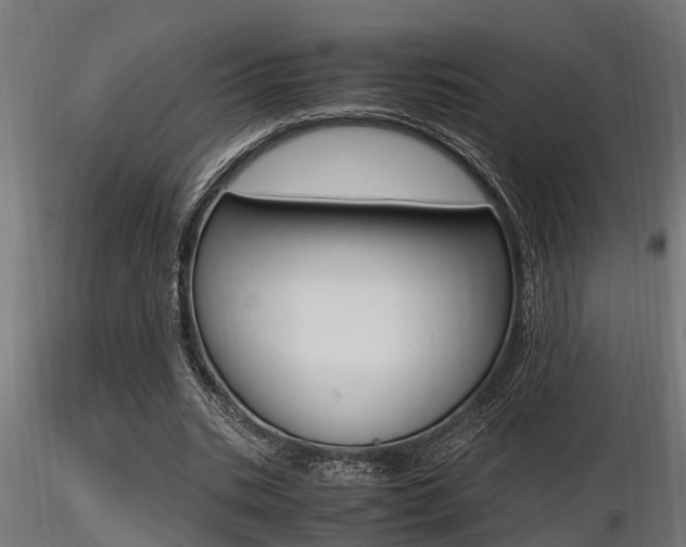 X0000116460535200912090929