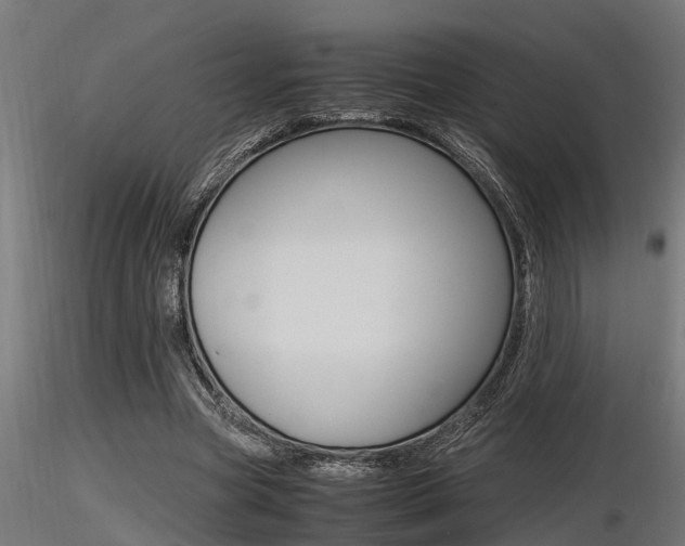 X0000116460537200912090929
