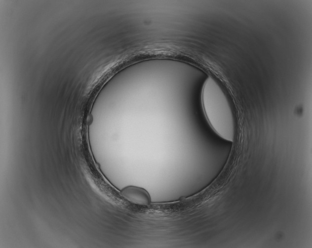X0000116460538200912090929