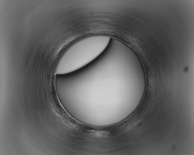 X0000116460539200912090929