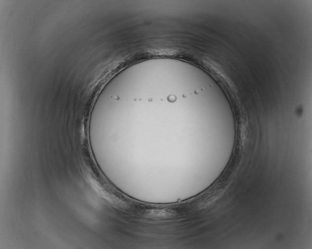 X0000116460541200912090929