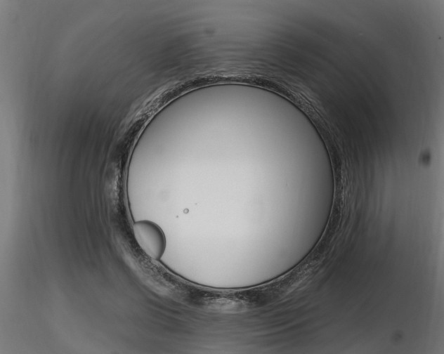 X0000116460542200912090930