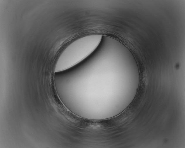 X0000116460547200912090930