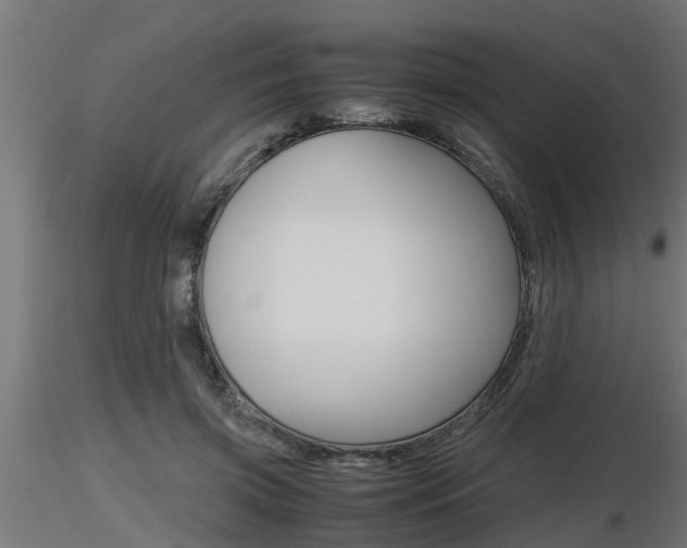 X0000116460549200912090930