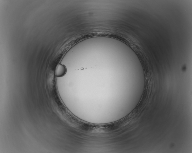 X0000116460550200912090930