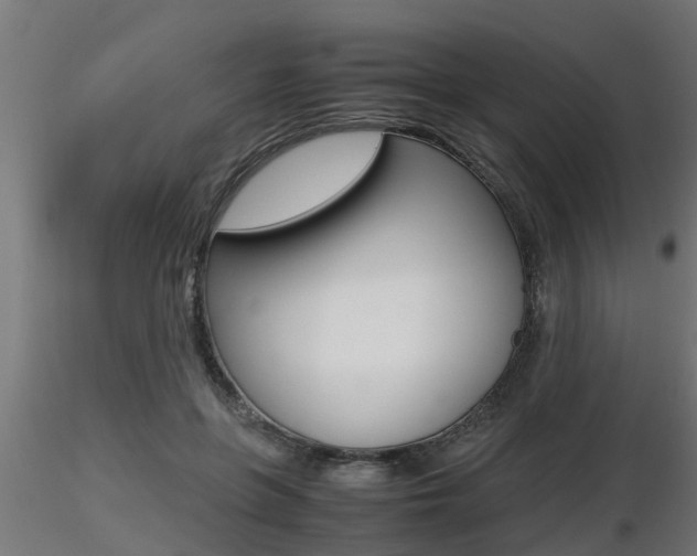 X0000116460551200912090930