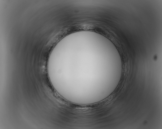 X0000116460553200912090930
