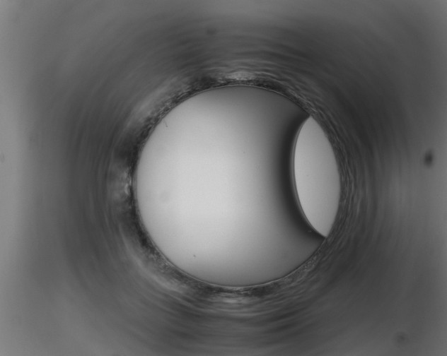 X0000116460555200912090930