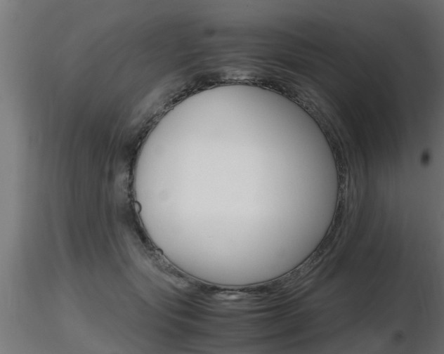 X0000116460557200912090930