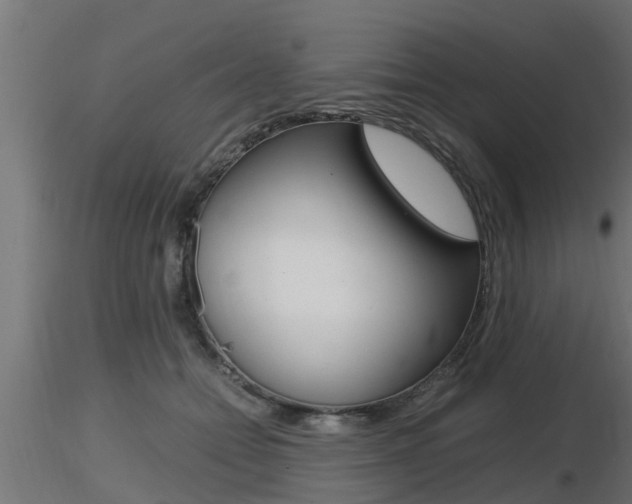 X0000116460558200912090930