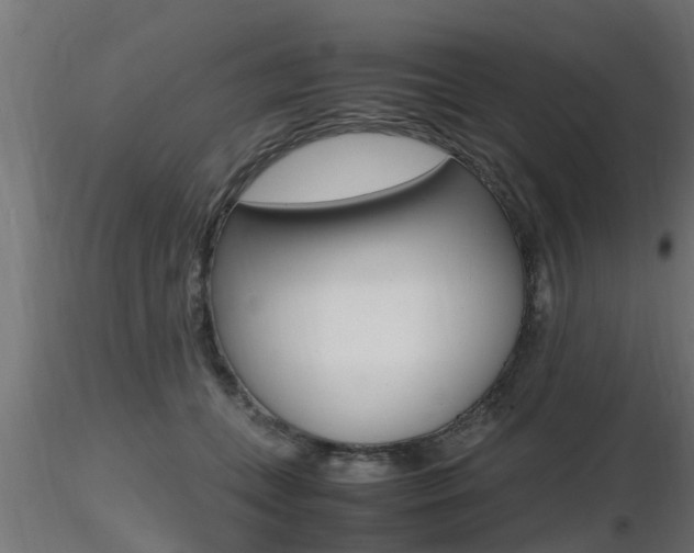 X0000116460559200912090930
