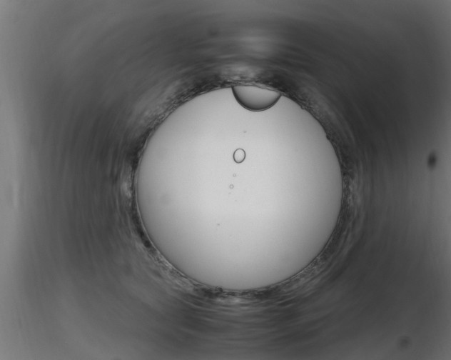 X0000116460561200912090930