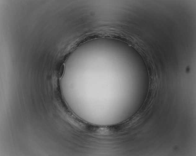 X0000116460562200912090930