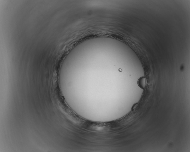 X0000116460563200912090930