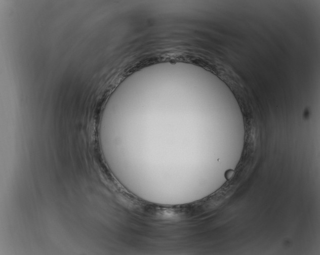 X0000116460565200912090930