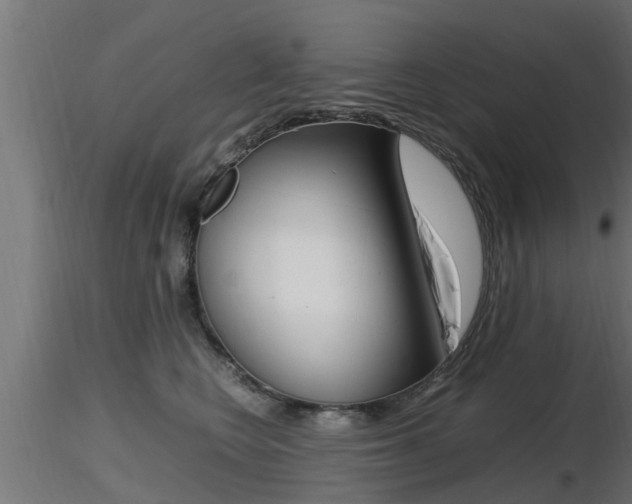 X0000116460566200912090930