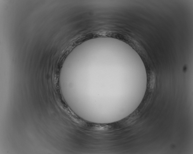 X0000116460569200912090930