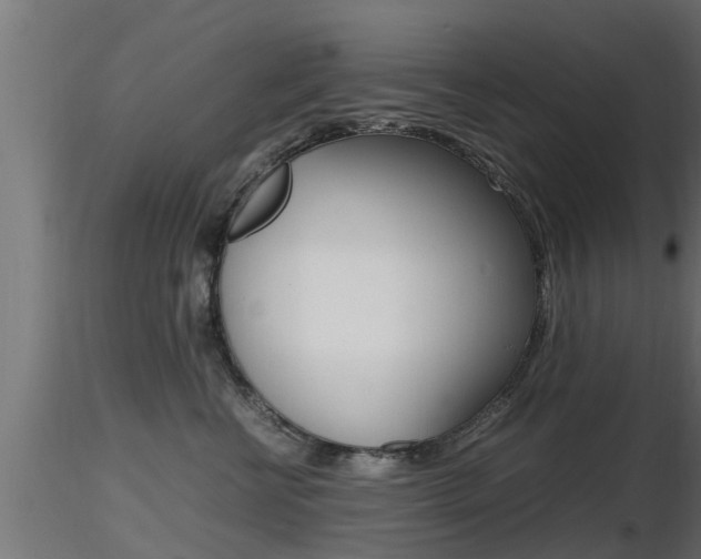 X0000116460570200912090930