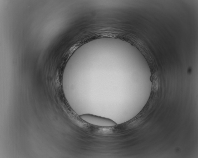 X0000116460573200912090930
