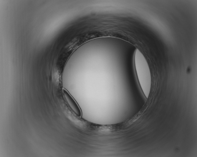 X0000116460574200912090930