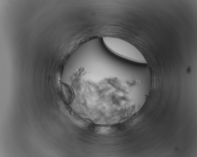 X0000116460575200912090930