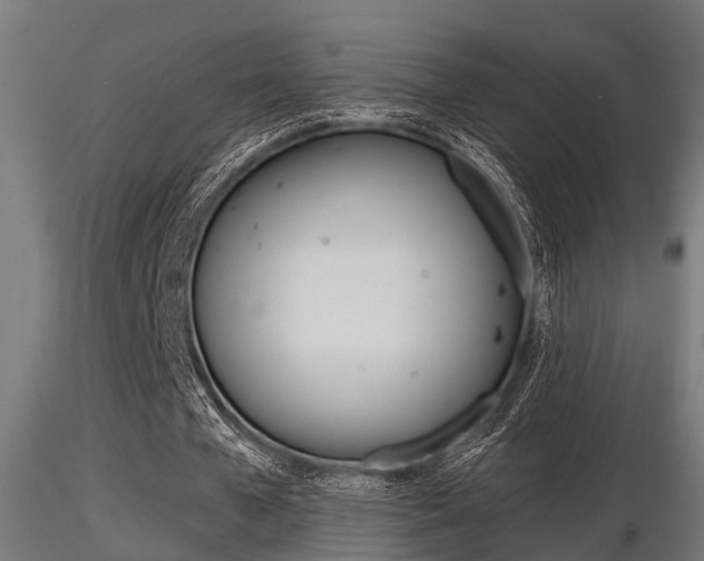 X0000116460577200912090929