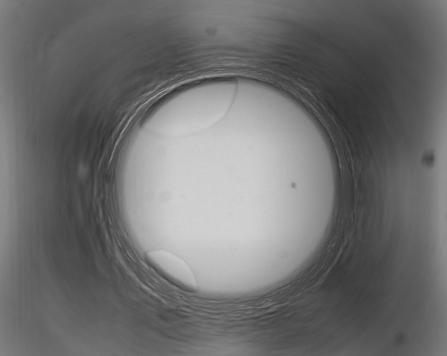X0000116460579200912090929